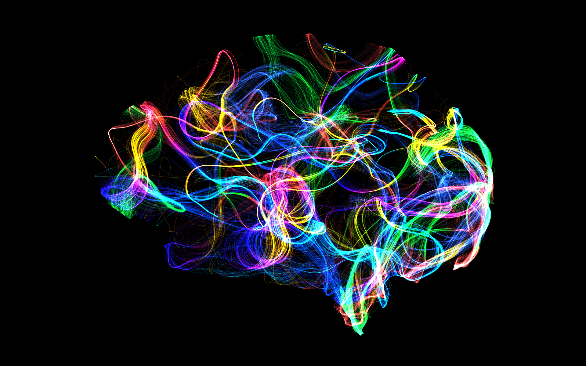 Œuvre NeuroAura — portrait cérébral en filaments colorés