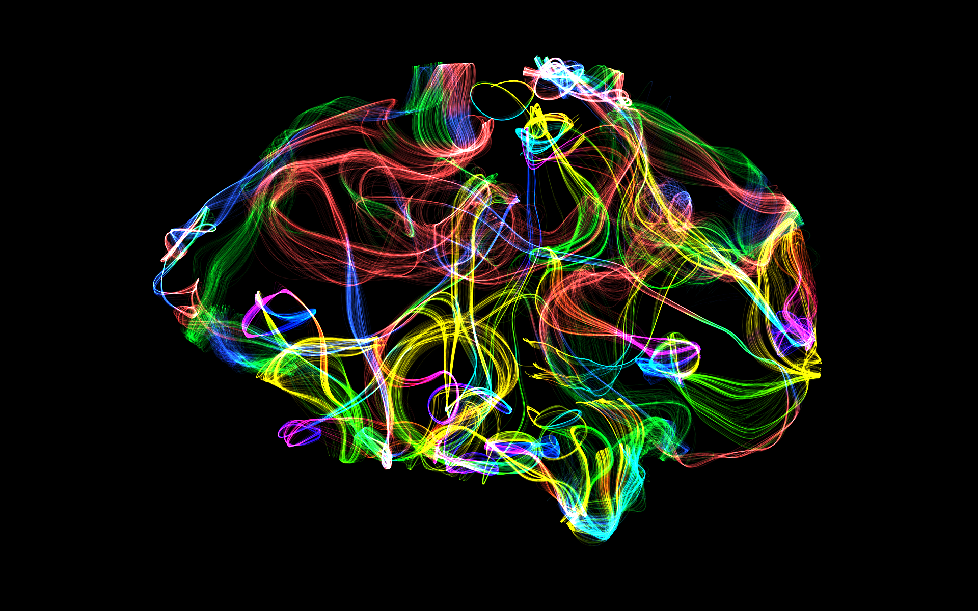 Œuvre générative NeuroAura, création générative esthétique en format panoramique